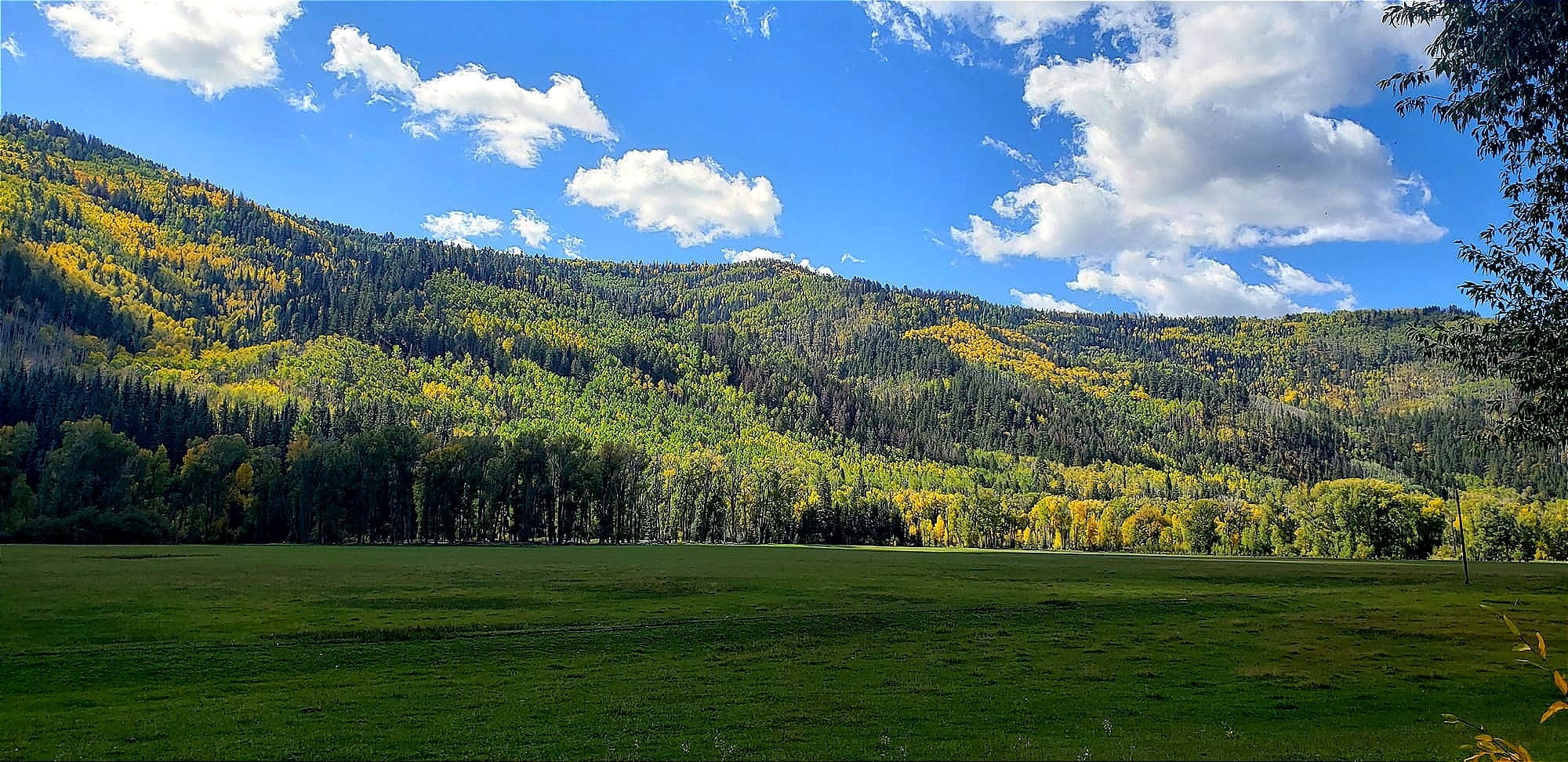 An Autumn Interlude